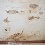 remontée capillaire mur