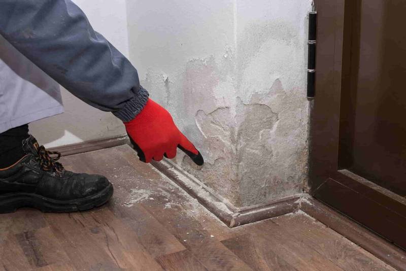 Inspection détaillée de la plinthe d'un mur endommagé par l'humidité