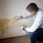 humidité moisissure