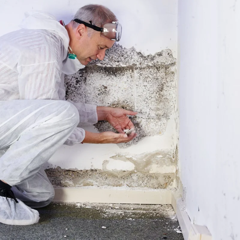 Expert professionnel inspectant un mur endommagé par l'humidité et les moisissures