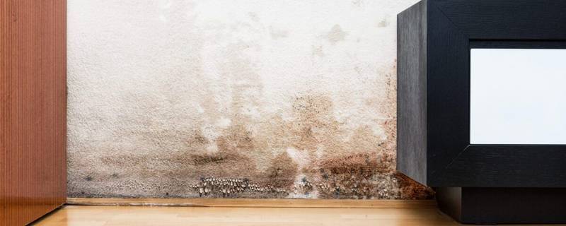 Mur intérieur endommagé par l'humidité et les remontées capillaires