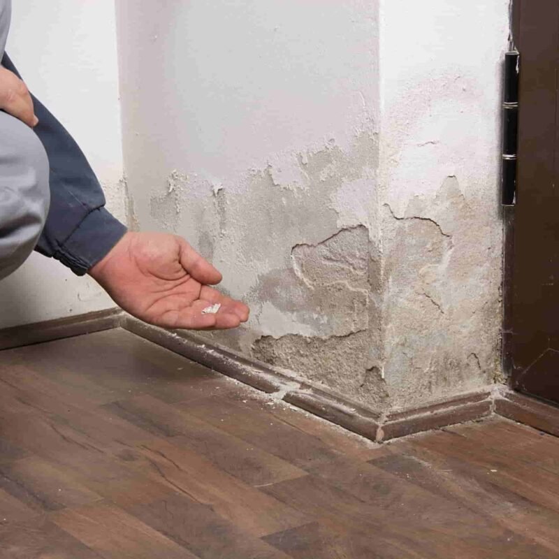 Dégâts d'humidité à la base d'un mur avec remontées capillaires visibles