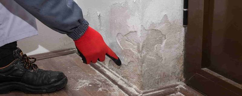 Inspection détaillée de la plinthe d'un mur endommagé par l'humidité