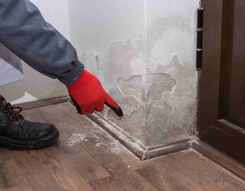 Inspection détaillée de la plinthe d'un mur endommagé par l'humidité