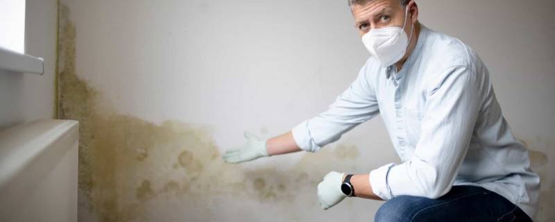 Expert montrant les dégâts d'humidité et de moisissures sur un mur intérieur