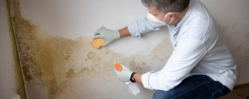 humidité moisissure