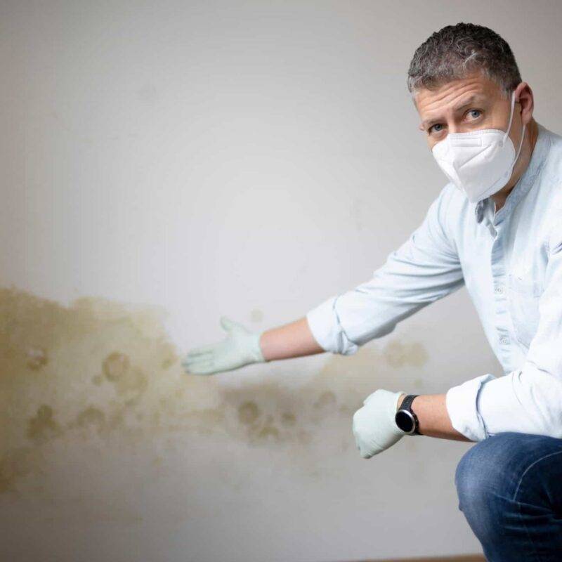 Expert montrant les dégâts d'humidité et de moisissures sur un mur intérieur