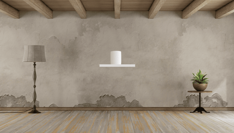 ATG LC15 | Geomagnetic Device for Rising Damp